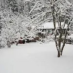 Apartment Gipfelkönig Bayrischzell