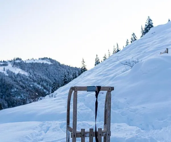 Gipfelkoenig * Bayrischzell